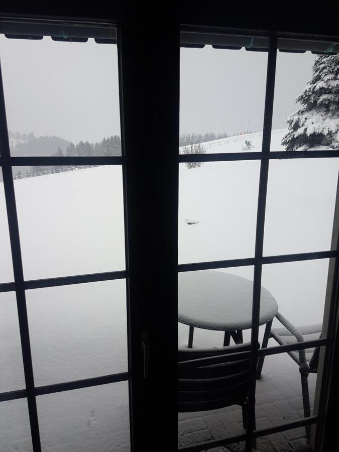 Appartement Neuastenberg Winterberg Esterno foto